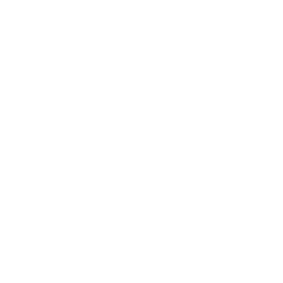 Un profesional en acción