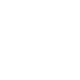 Courier de élite
