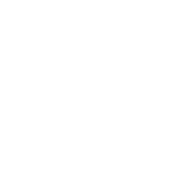 Maestro del café