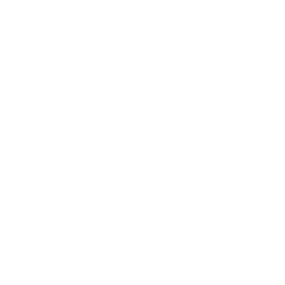 Five-Star Paragon